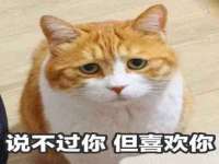 海口秀英顺财达农副产品经营部