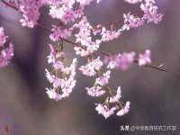 海口秀英顺财达农副产品经营部