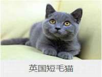 海口秀英顺财达农副产品经营部