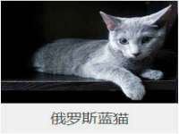 海口秀英顺财达农副产品经营部