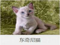 海口秀英顺财达农副产品经营部