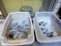 海口秀英顺财达农副产品经营部