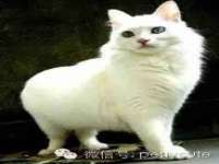 海口秀英顺财达农副产品经营部