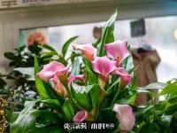 海口秀英顺财达农副产品经营部