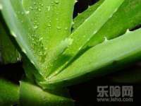 海口秀英顺财达农副产品经营部