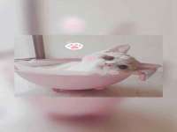 海口秀英顺财达农副产品经营部