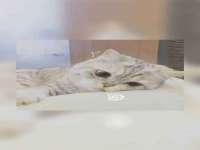 海口秀英顺财达农副产品经营部