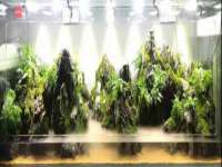 海口秀英顺财达农副产品经营部