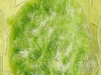 海口秀英顺财达农副产品经营部