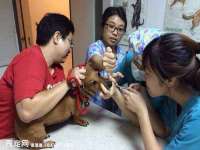 海口秀英顺财达农副产品经营部