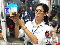 海口秀英顺财达农副产品经营部